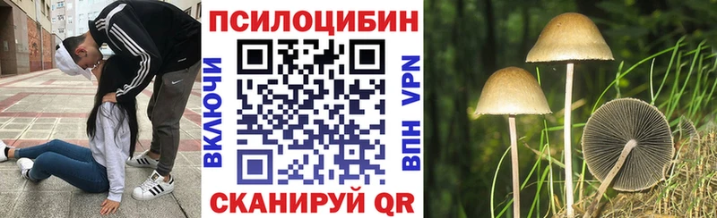 Псилоцибиновые грибы мухоморы  где найти   Юхнов 